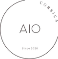 Logo All In One Corsica