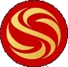 Logo Premium Services 360°